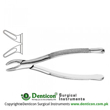 Hull American Pattern Tooth Extracting Forcep Fig. 101 (For Upper and Lower Premolars) Stainless Steel, Standard